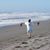 Barbara Steinberg's profile image