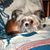 Debbie Simmons's profile image