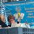 Susan K Sundquist Thronson's profile image