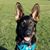 Nancy Dement's profile image