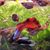 Aimee Hillard's profile image