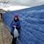 Julia Rose Goldhirsh's profile image