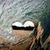 Stefanie Dunham's profile image