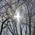 Karen Doepker Brucker's profile image