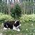 Jeanette Talach-Overby's profile image