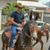 Bruno Lopes's profile image