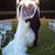 Dawn Hill's profile image