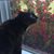 Jill Brown's profile image