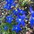 Kristine Barnes Simmons's profile image