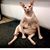 Jo Kin's profile image