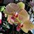 Kate Zappen Mayton's profile image