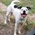 Shelly MizzMitchell's profile image