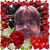 Cheryl Campbell's profile image