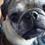 Wendi Eck's profile image