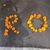Rosanna Covino's profile image