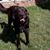 Norbert R. Draper's profile image