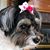 Mary Winskie Syms's profile image