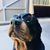 Stacy Worthman Lancaster's profile image