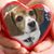 Barb Groll's profile image