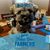 Susan Annette's profile image
