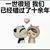 Anna Huang's profile image