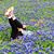 Barbara Brands's profile image