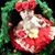 Nancy Anne's profile image