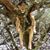 Theresa Jones's profile image