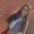 Mandy Martinez's profile image
