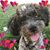 Nancy Many's profile image