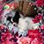 Sue Gunn's profile image
