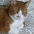 Barbara Ryan Wiltrout's profile image