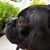 Mary Horner Morgan's profile image