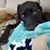 Christie Cardoza's profile image