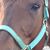 Melissa Hampton's profile image