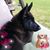 LadyDarla Texter Bergbigler's profile image