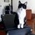 Todd LaPlace's profile image