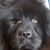 Michael L Marchese's profile image
