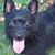 Suzanne Marbert's profile image