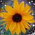 Denise Garcia's profile image