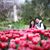 Ming Luong's profile image