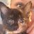 Jennifer Larkin's profile image