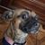 Jaime Ramirez's profile image