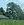 River Parish Cajun Review's profile image