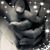 James M Ogilvie's profile image