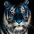 Sean M Jarvis's profile image