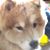 Karen Mclaughlin's profile image