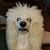 Jeanne Boyd Seaman's profile image
