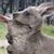 Alison Jayne's profile image