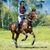 Charlene Barry's profile image